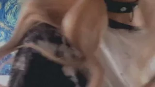 Sensational thot cute SallyDinosaur collab