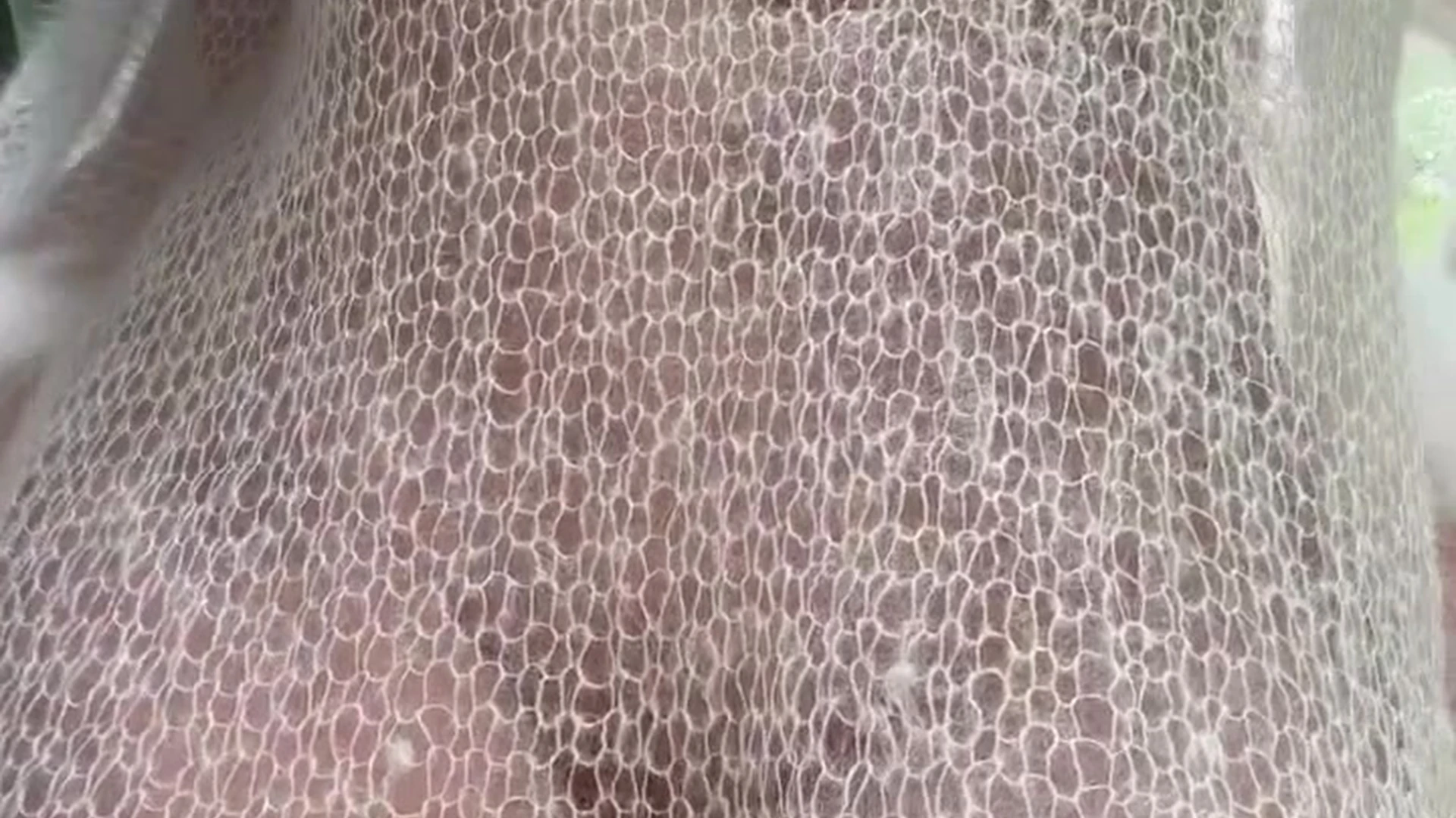 hysterical sucking big boobs Louisa Khovanski Leak Onlyfans