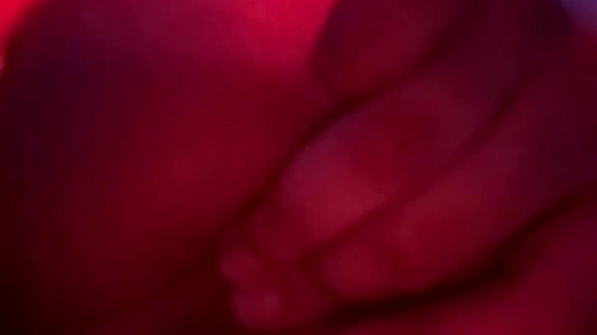 busty Eggjlp solo Epic