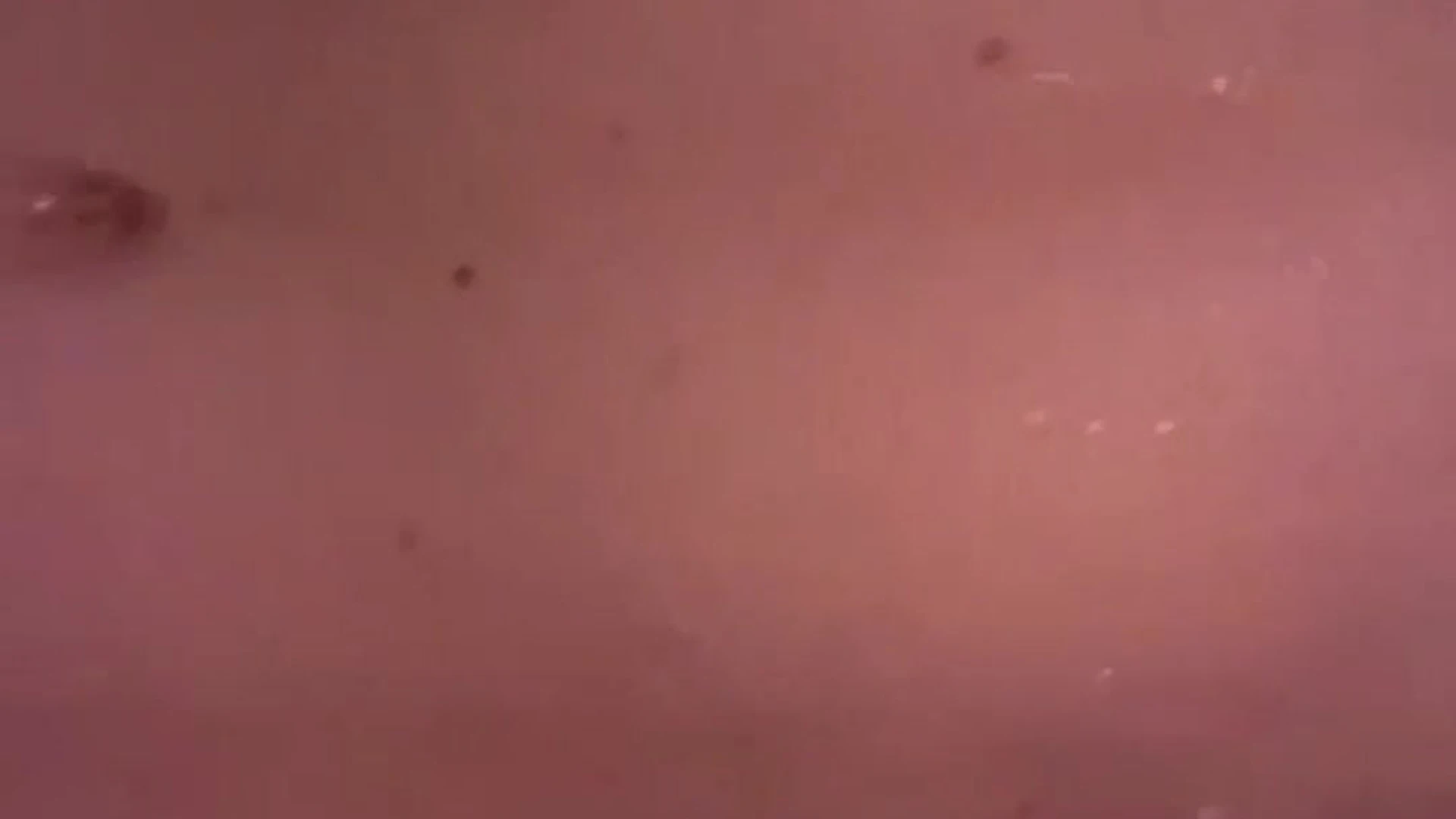 cute Amanda Cerny Onlyfans Leak Exclusive full vid