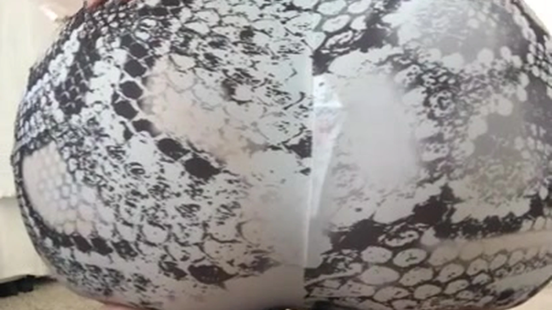 babe Toni Camille Nude porn