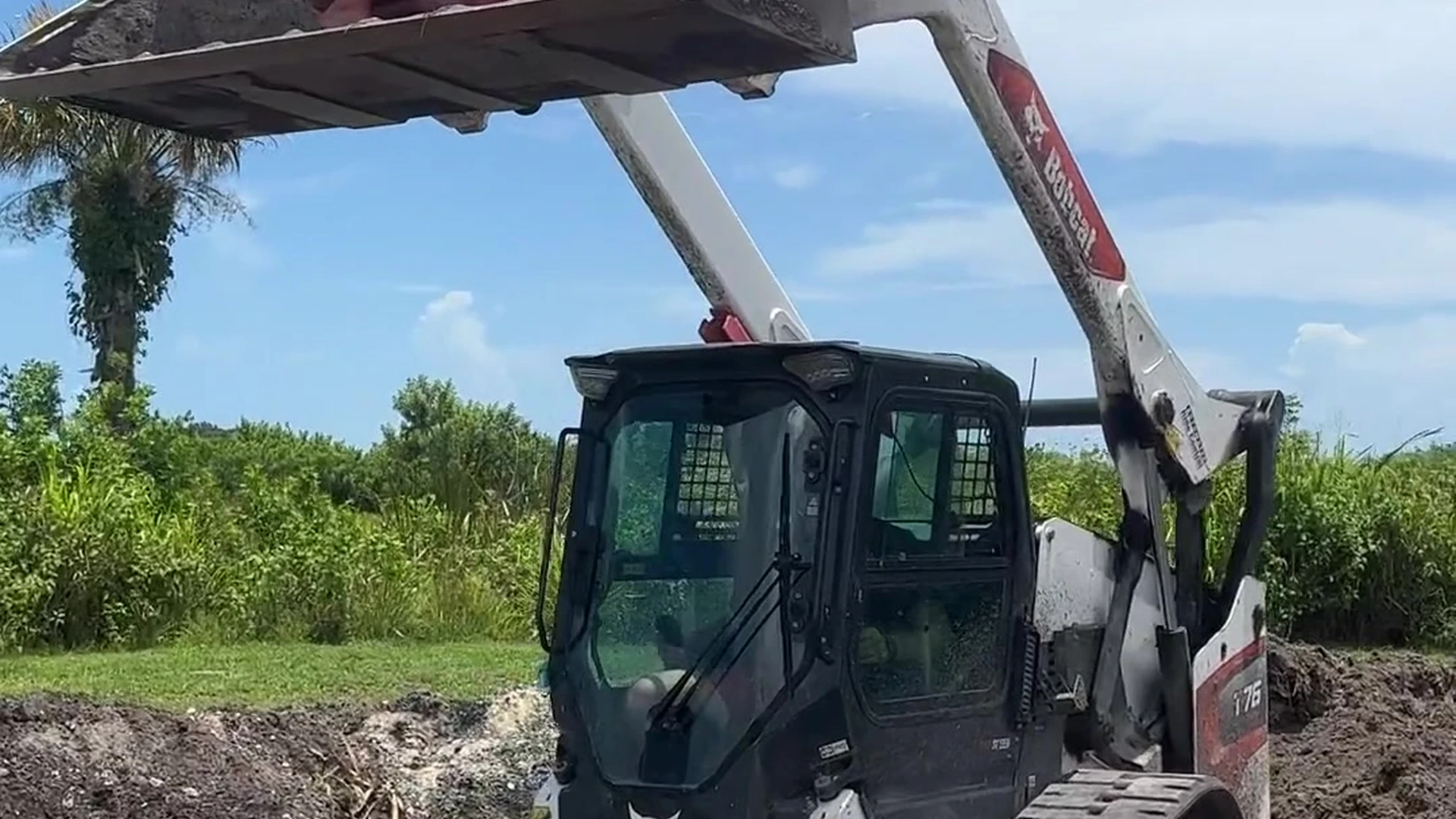 Exposed perfectwoman naughty Bryce Adams camrip