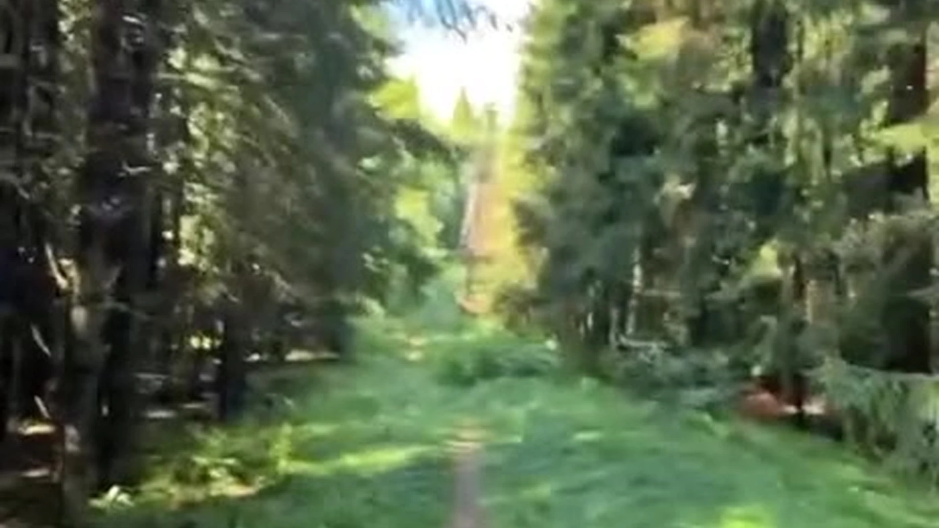 perverted babe Cheryl Blossom Leaked OF