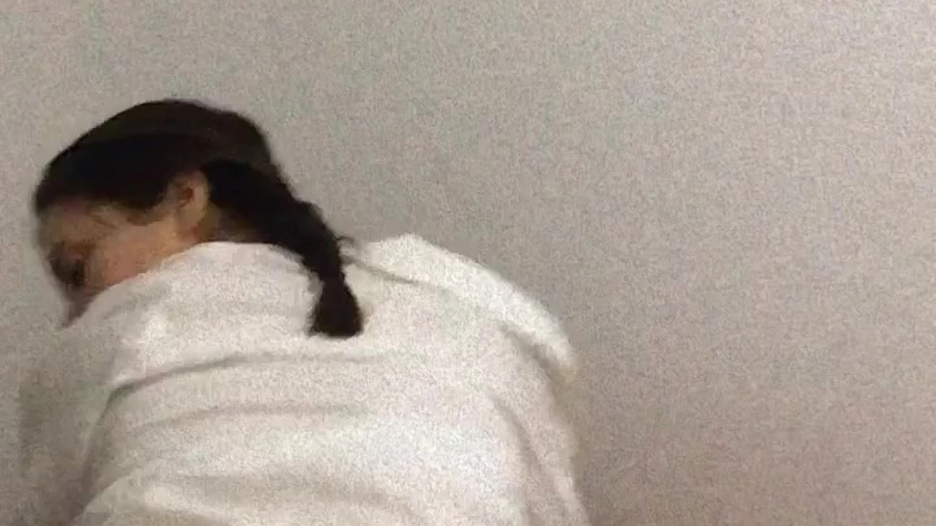 Venezuelan KingCarle l e a k e d PPV leak