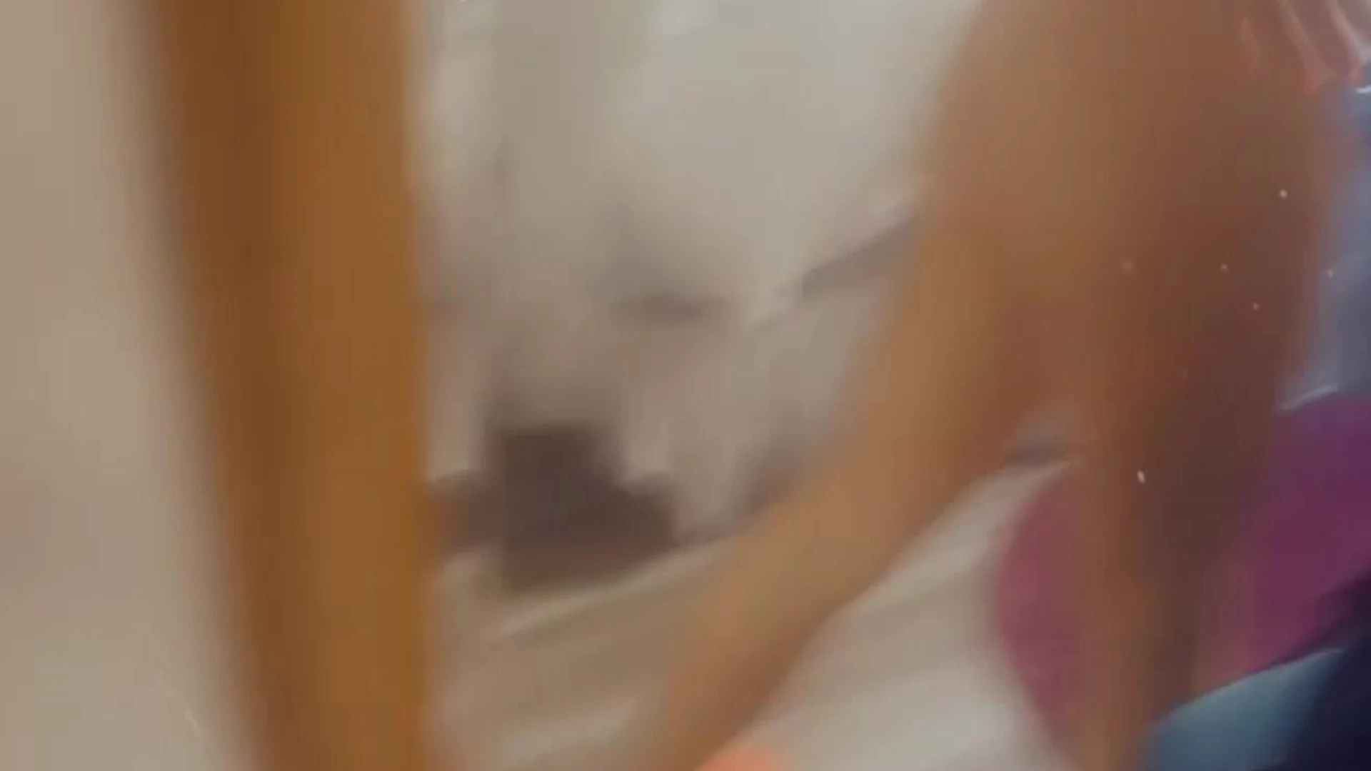 Exposed obscene hot Kit Mercer cams