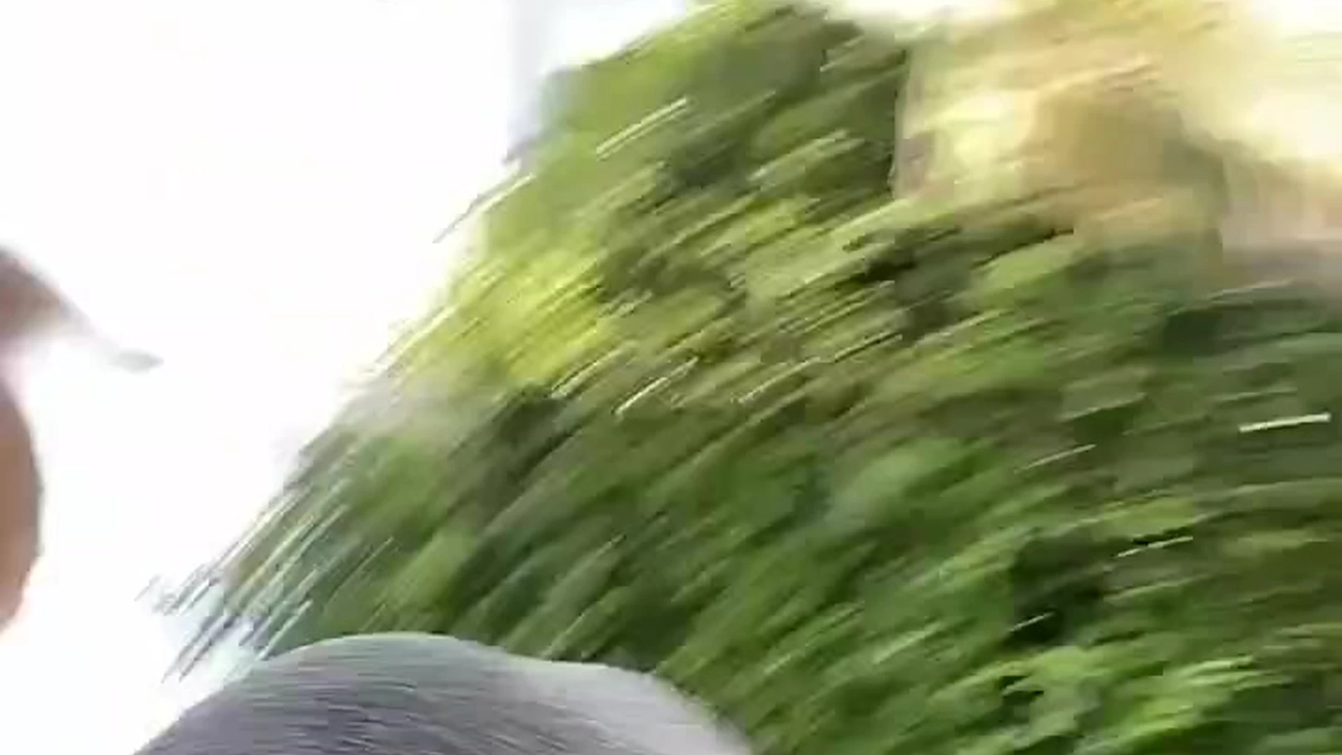 Exposed cock-teaser amateur Gabby Epstein Nude onlyfans Leaked full video