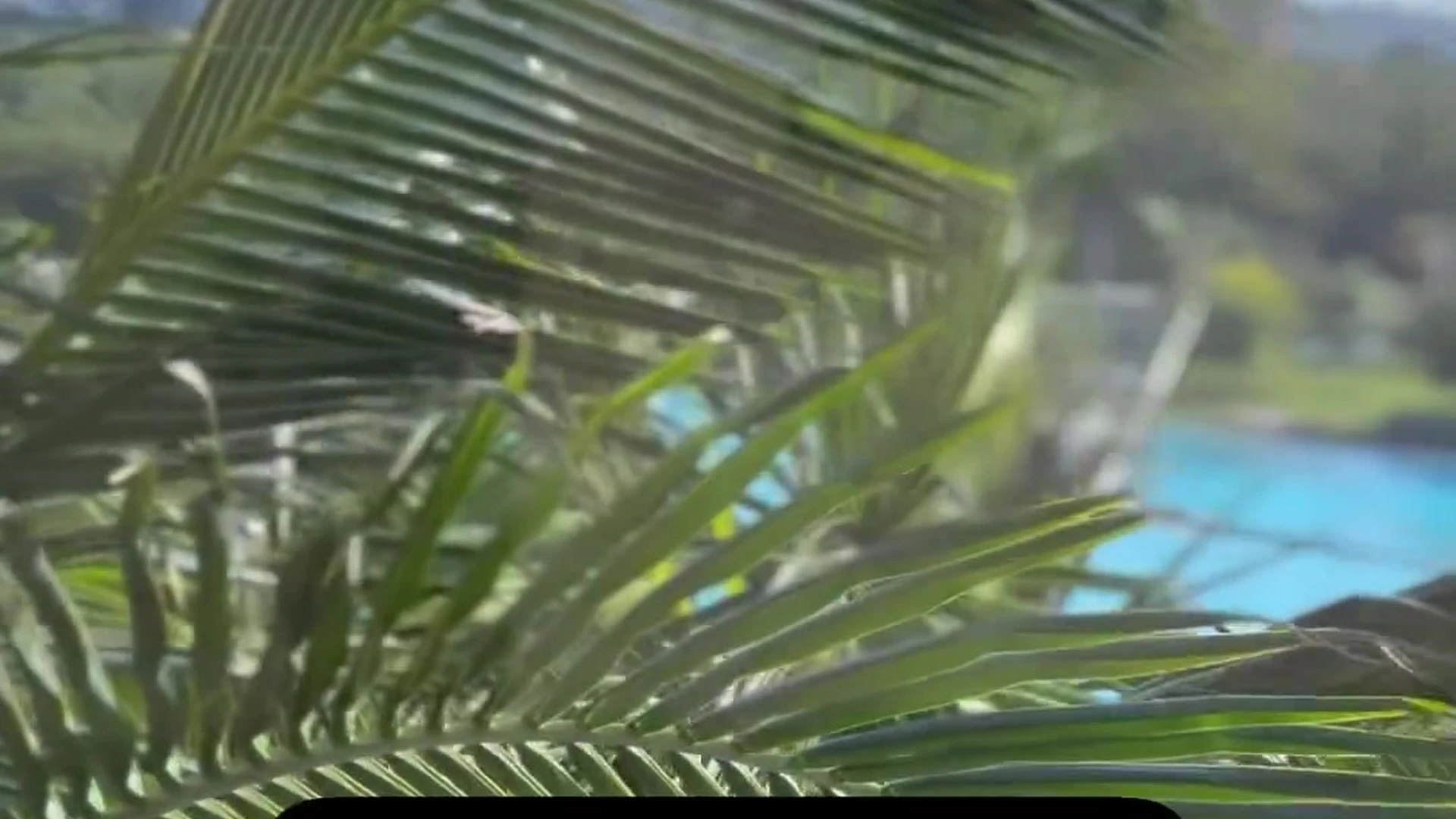 Fit Thaissafit Nude leak OF PPV