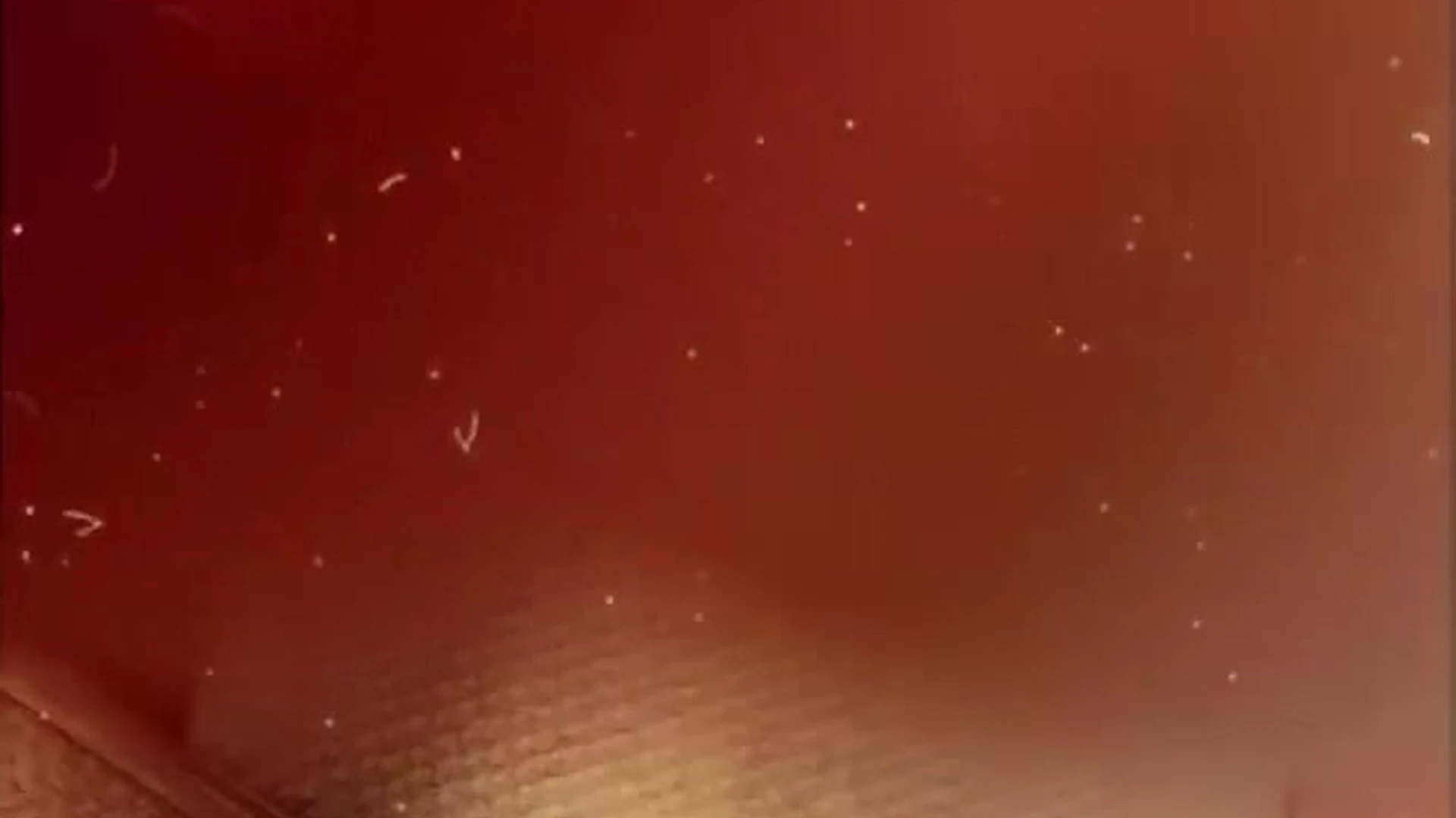 hot Kit Mercer leak xxx